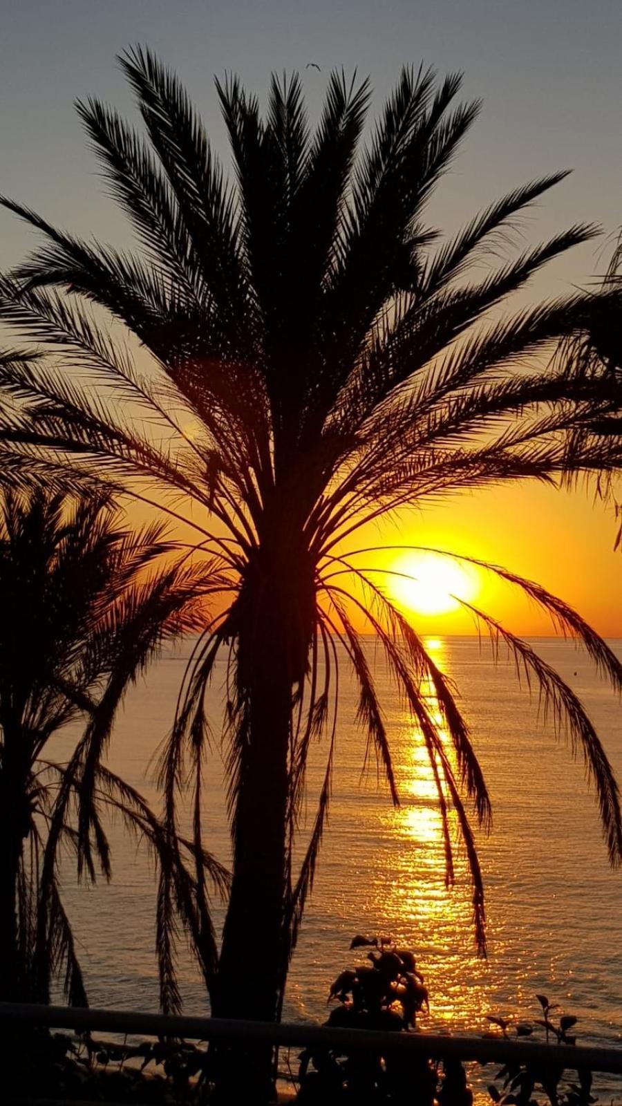Aloha Beach Vibe بينالماذينا المظهر الخارجي الصورة